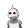 guest