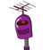 guest