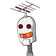 guest