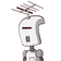 guest