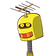 guest