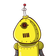 guest