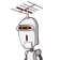guest