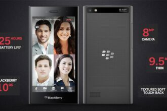 blackberryleap