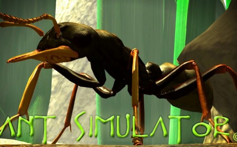 ant simulator 01