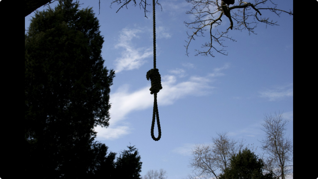 032015-centric-news-noose-hanging-from-tree