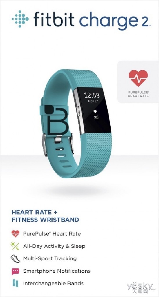 79M1R02H2571_fitbit-charge-2-1_600