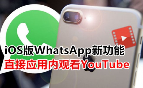 WhatsApp Update Apple iPhone WhatsApp Update iPhone iOS 10 Update WhatsApp Features Lockscreen Widget WhatsApp WhatsApp New Upda 710915 副本