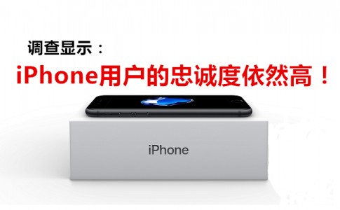 iPhone 7 in the Box 副本