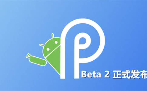 android p dp2