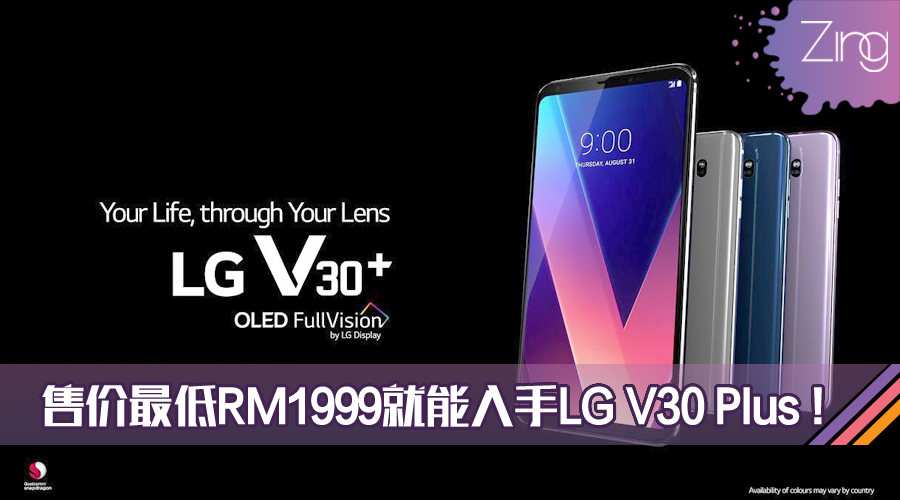 LG V30 Plus cover
