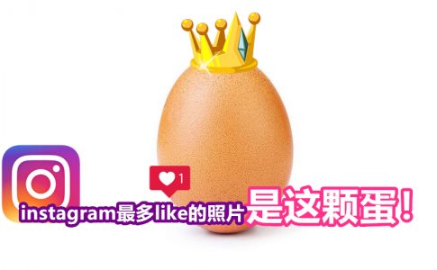 egg 副本