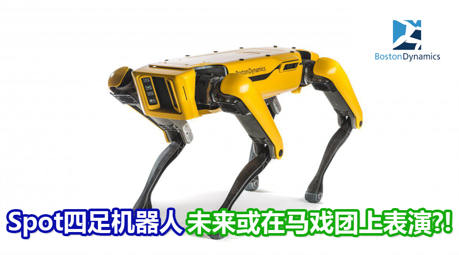 robot dog cv