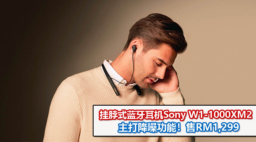 Sony CV 1