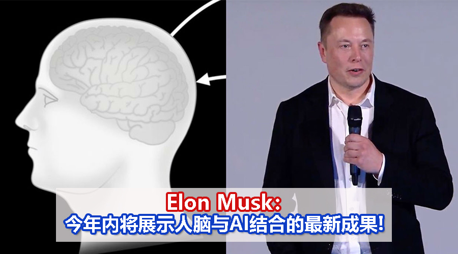 Elon CV
