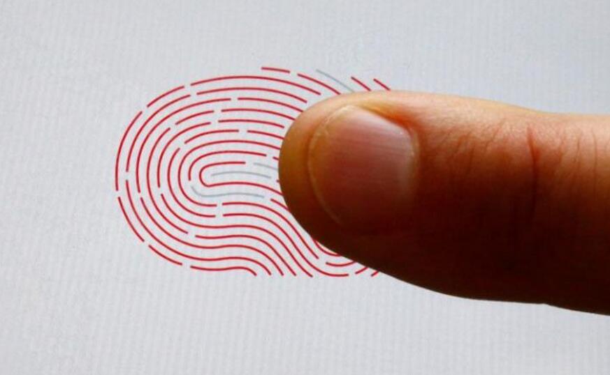 Fingerprint 1