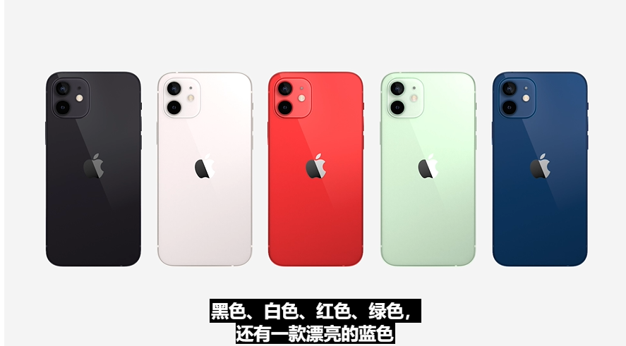 5色 1