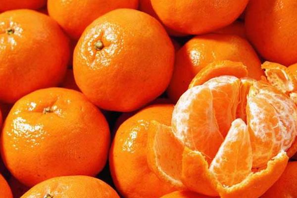 橘子 1