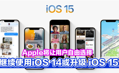 iOS 15 CV