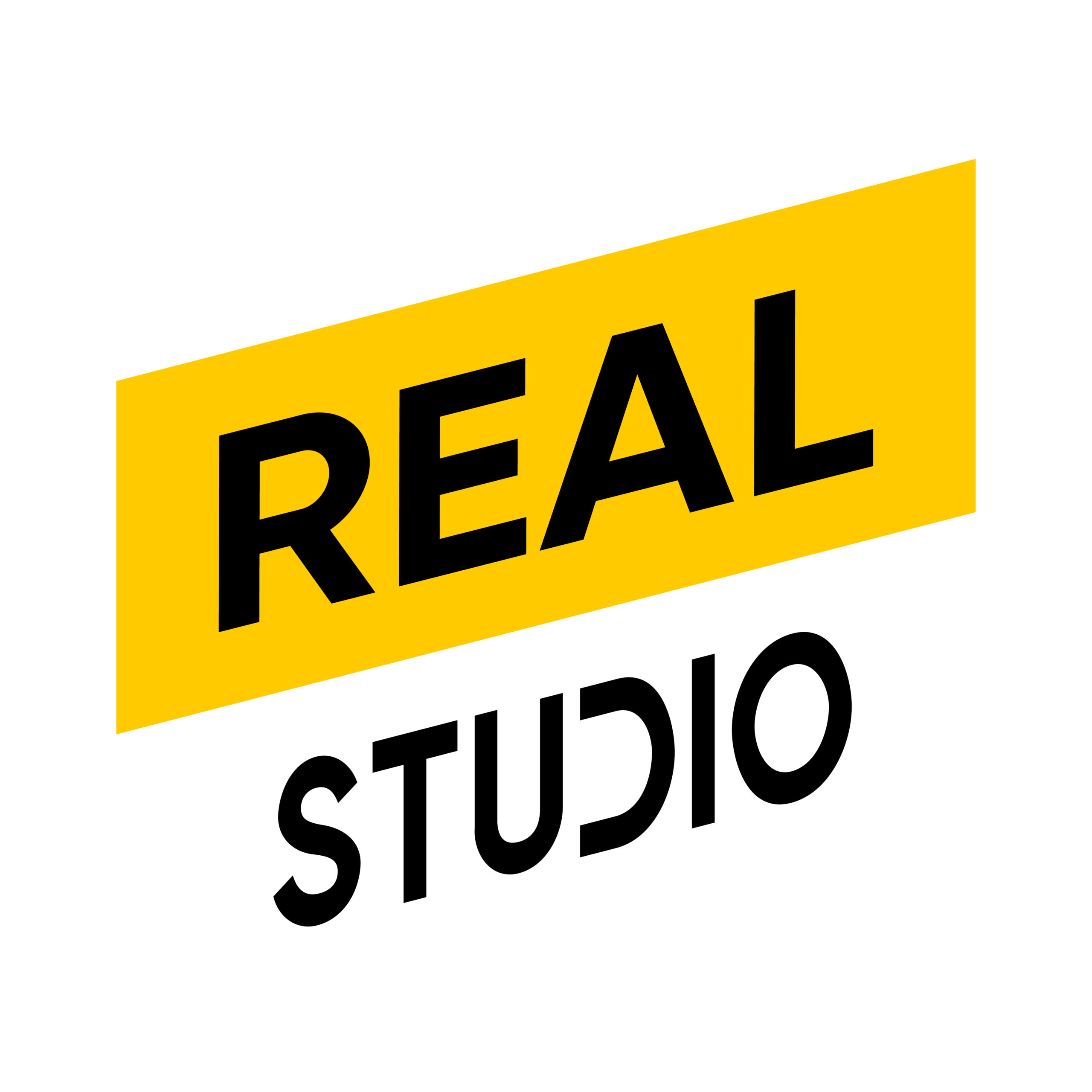 realstudio Logo scaled