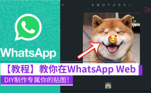 WhatsApp CP