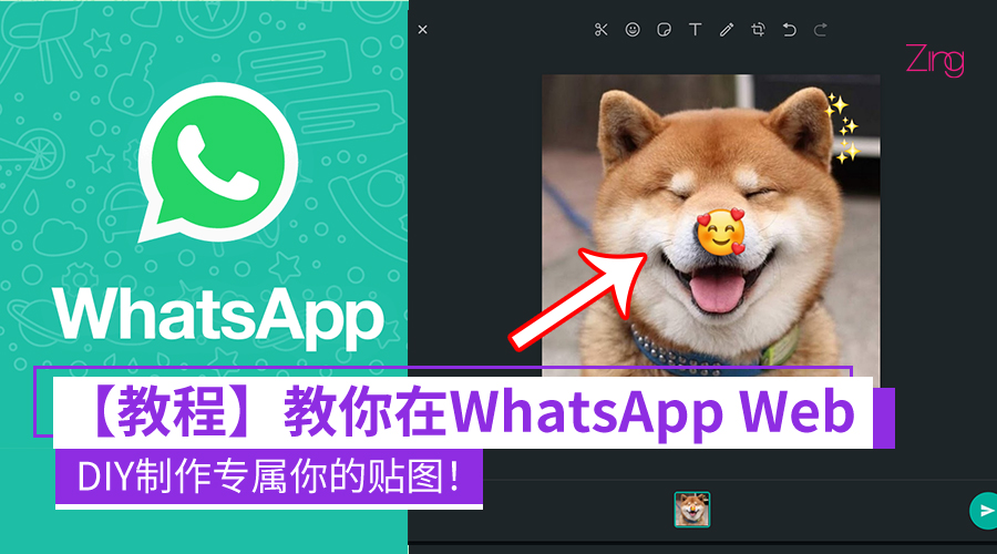 WhatsApp CP