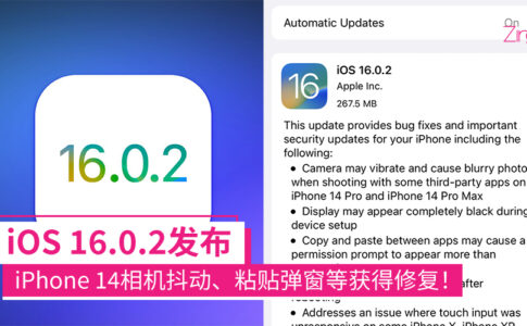 iOS 16.0.2 CP