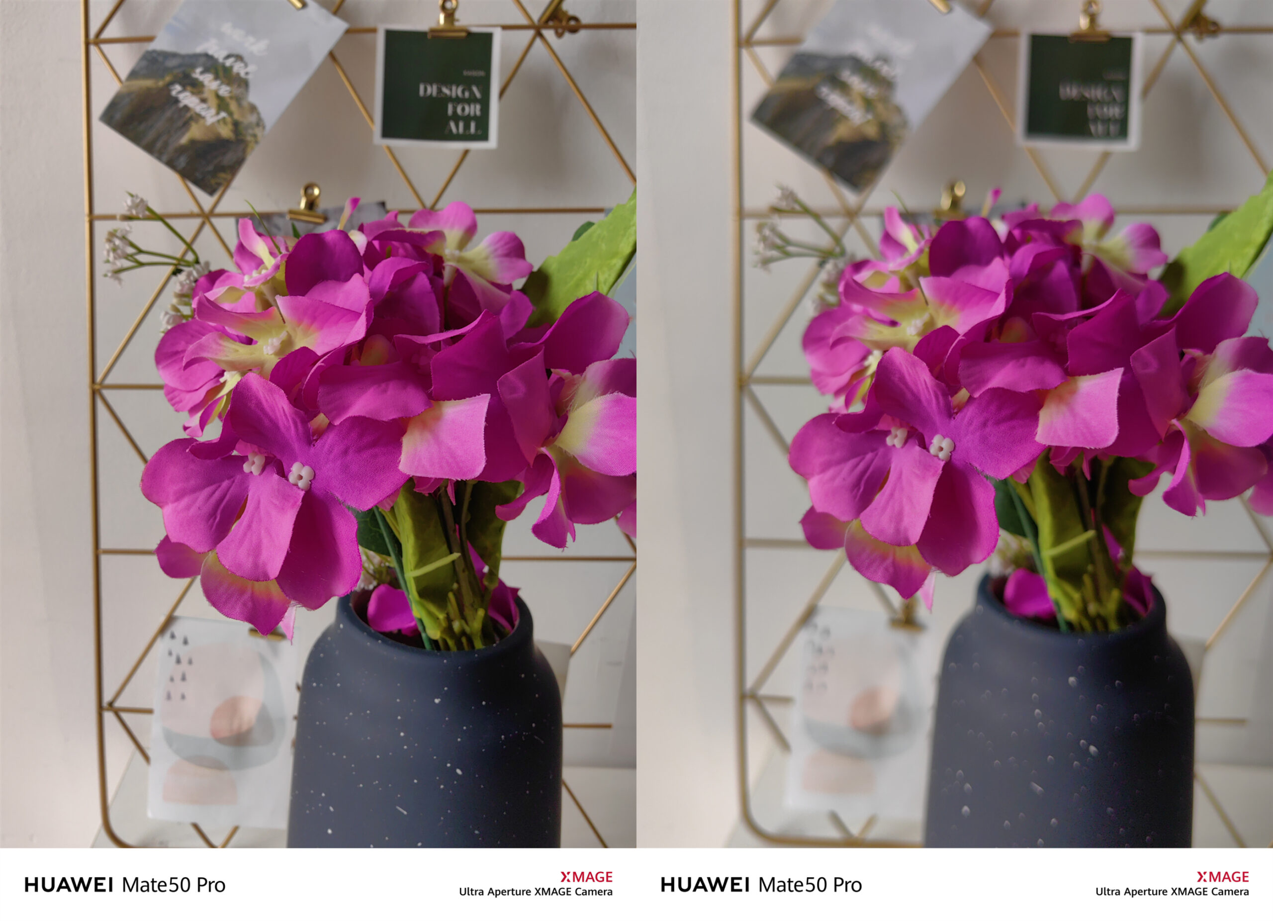 Google Apps轻松用!Mate 50系列携带重磅黑科技,重回旗舰王者的宝座! 9 IMG 20221003 144905 副本 scaled