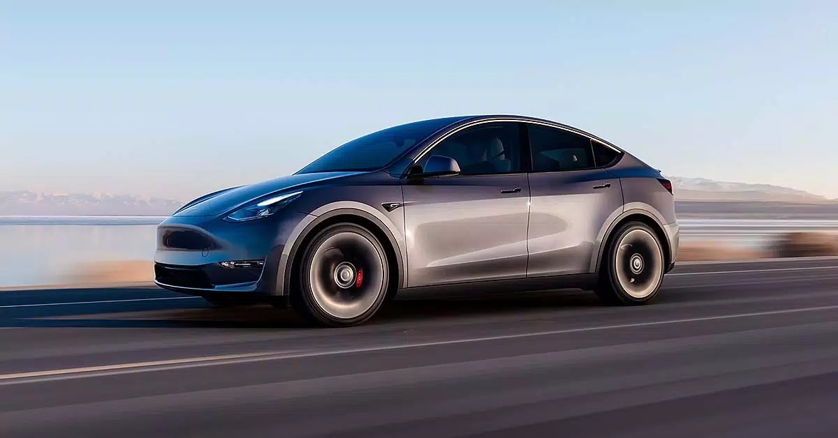 Model Y Social Global