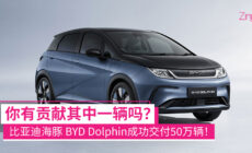比亚迪海豚 CP