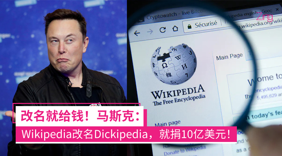 马斯克 Wikipedia捐款