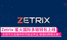 Zetrix x MYEG CP