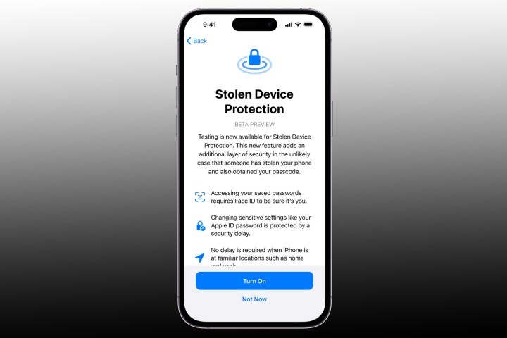 stolen device protection iphone