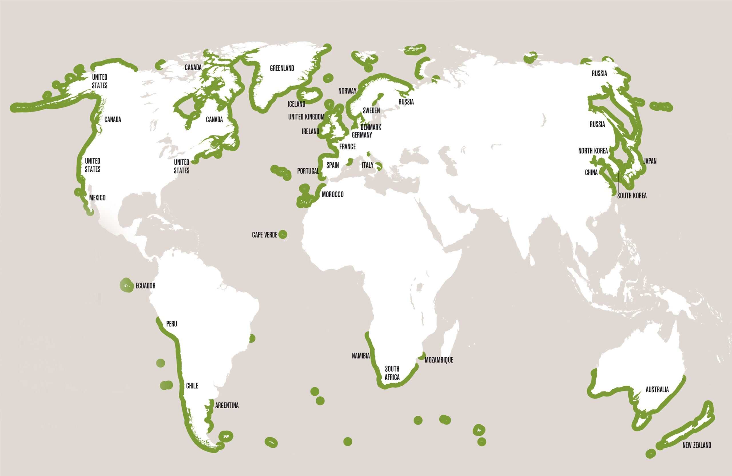 Kelp Forests around the world. Image credit Kelp Forest Alliance collection and GRID Arendal scaled