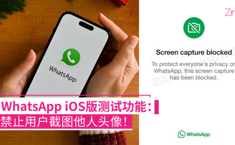whatsapp screenshot