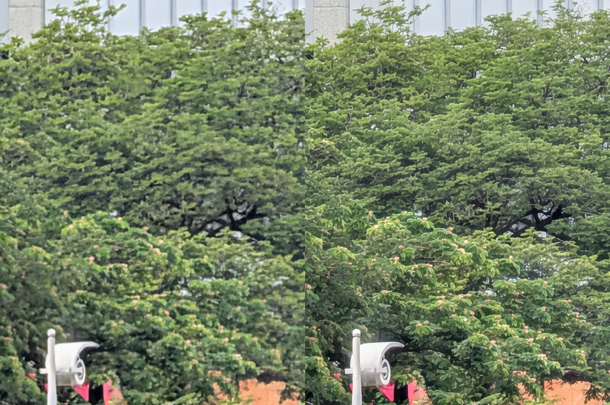 Google Pixel 10 Pro评测:Google AI生态的绝佳范本,体验流畅、新芯片仍力有未逮 20 proreszoom4 scaled