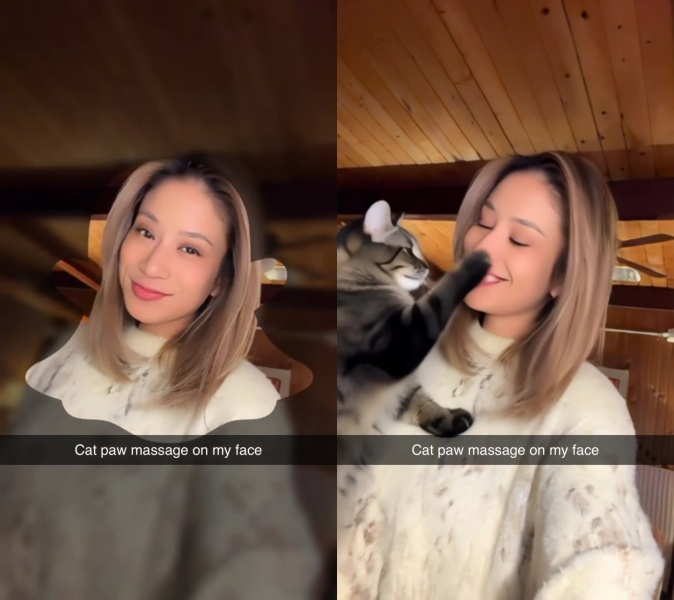 不用剪辑!Snapchat 推出 “Animate It” 首个 AI 视频滤镜,一句话就能生成动画短片! 2 Animate It Snapchat A