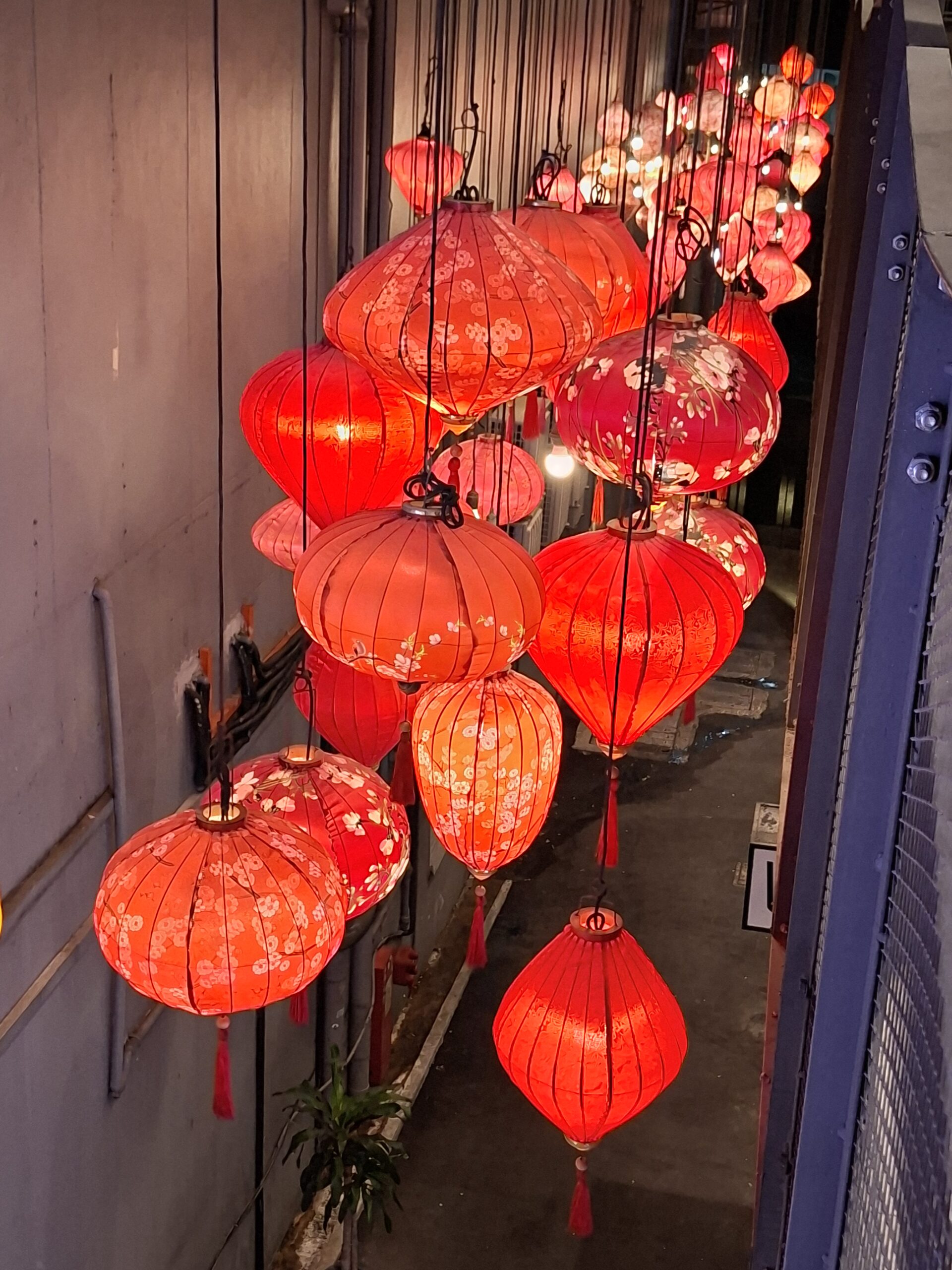 20260413 195607 1 scaled