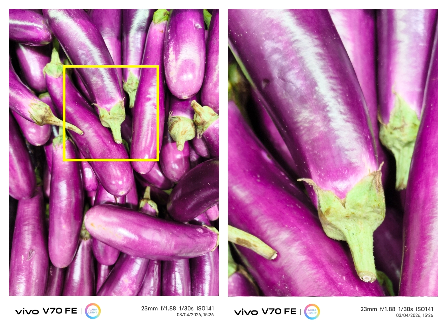 一路 “紫” 到细节!vivo V70 FE 200MP 超清主摄,放大再裁切依然清晰,轻松拍出 Muse Purple! 💜📸 11 IMG 20260407 153431 Copy